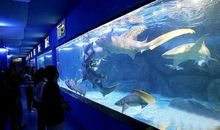 蓬莱极地海洋馆一日游