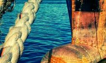 舟船精神激励我成长