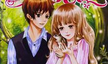 充满爱心的少年陆天600字作文