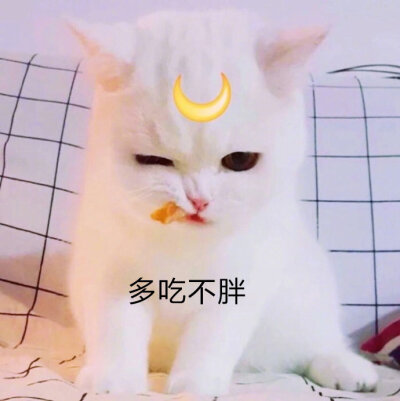 我从来没有这么开心过