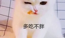 我从未如此愉快