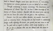 关于深圳发展的作文