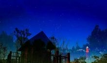 美丽的乡村夏夜