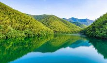 大自然的天然氧吧