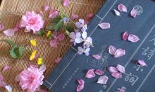 书读你千遍也不厌倦