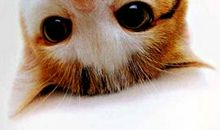 分“学农”宿舍带给我的启示