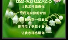 谢谢你，朋友……