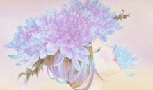 读懂一朵花的绽放