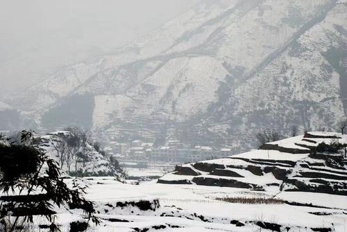 雪中​​的乡愁