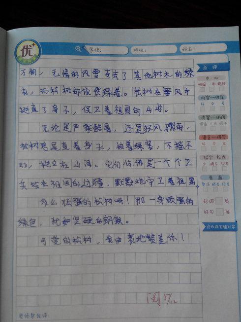 赞美松树的组成