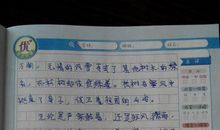 赞美松树的作文