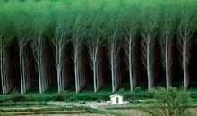 发现大自然的秘密