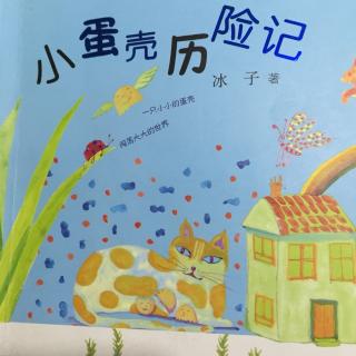 蛋壳旅行笔记