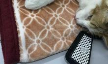 印象最深刻的的事