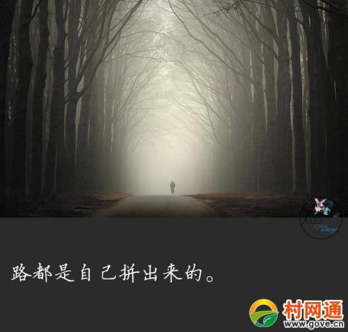 走自己的路，听别人说话