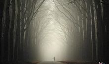 走自己的路，也要听别人的话