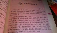 母亲节我送妈妈手工礼物作文