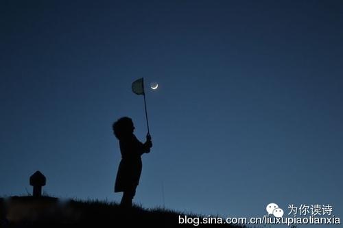 赶上月亮