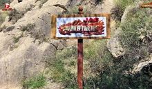 把青春的颜色铺满征途