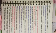 我们这样读名著