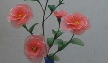 那年夏天花开不败