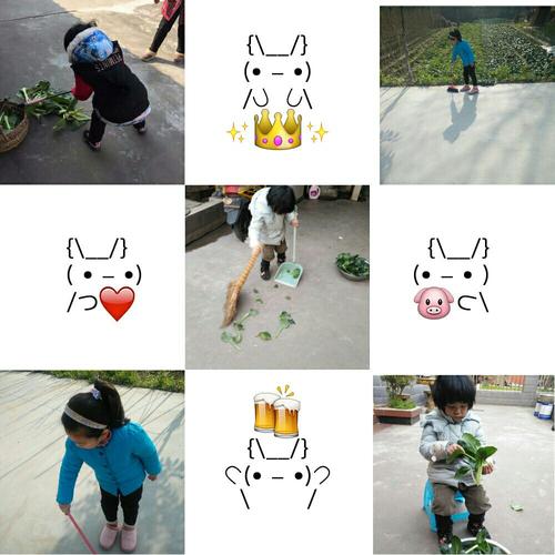 寒假里的乐趣