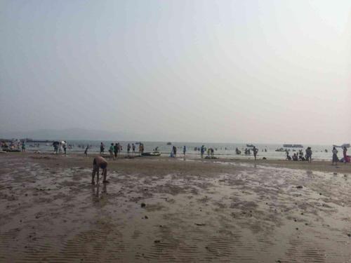 在常山岛上追海