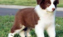 生活也是很好玩的