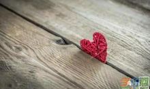 我真想留住这片风景作文800字