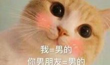 我爱我的小猫