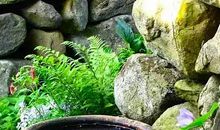 长高的感觉真好