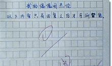 写一个人马虎的作文