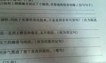 一个接一个仿写