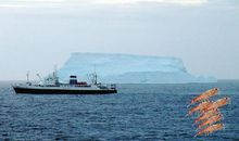 小个子蕴含大能量