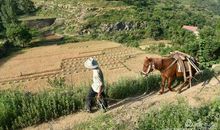 童年走过的小路