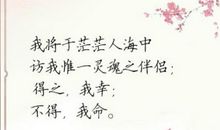 书——我的伴侣