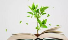 一颗希望的种子