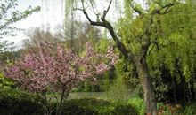 春天我种下一个梦