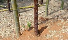 春的随想——远足后感