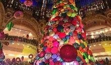 最后一棵树的心声