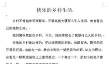 乡村风光作文400字