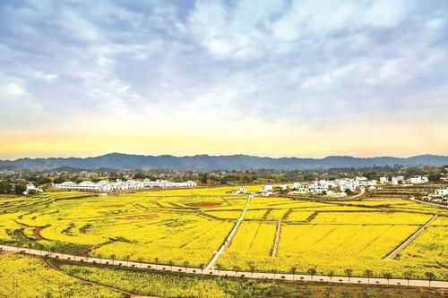 风景如画的乡村