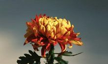 中国——东方崛起的巨龙