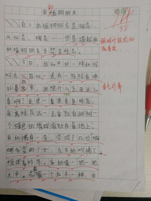 我厂的朋友桃花三年级作文