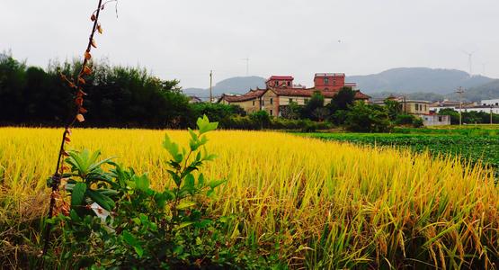 下个路口见