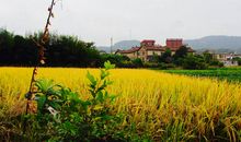 下一个路口再见