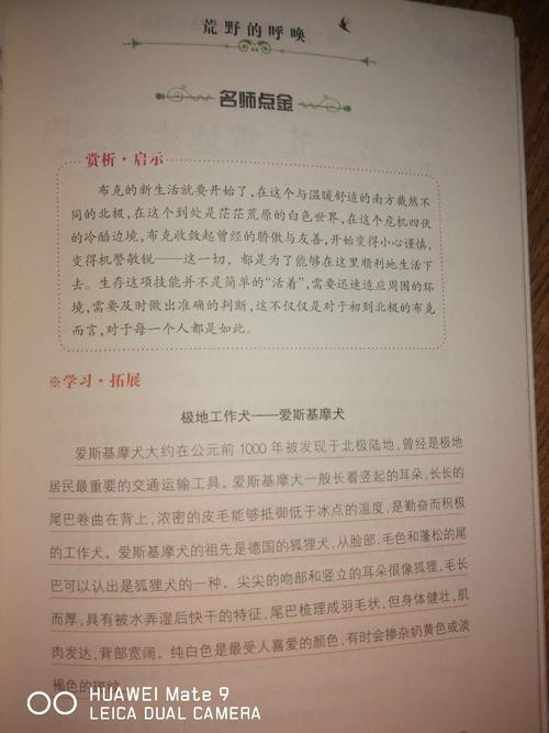 铅笔盒中的对话