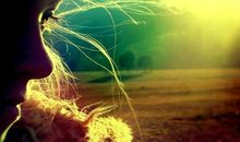 冬天的那一缕阳光