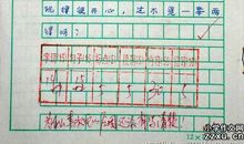 那一次我真什么作文450字