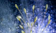 那一段平凡的时光